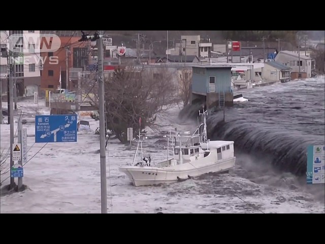 Great East Japan Earthquake and Tsunami Overview