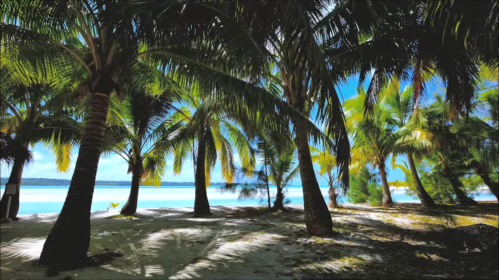 4K Aerial Views of Nature Drone Shots