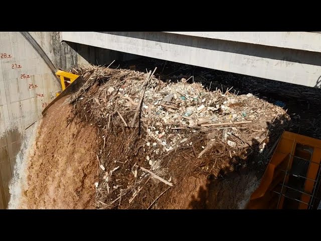 Radial gate with flap clearing debris