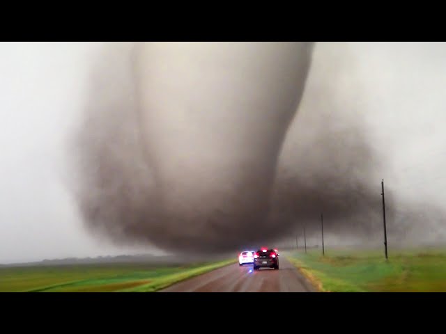 Craziest Nature Videos from the Last Decade