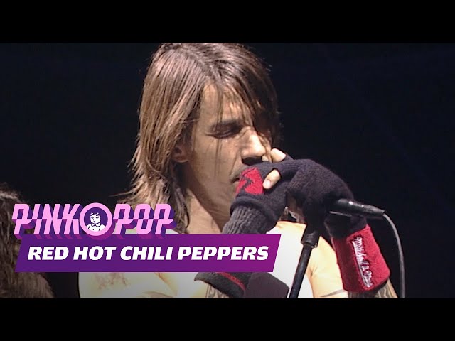 Red Hot Chili Peppers perform live at Pinkpop 2006